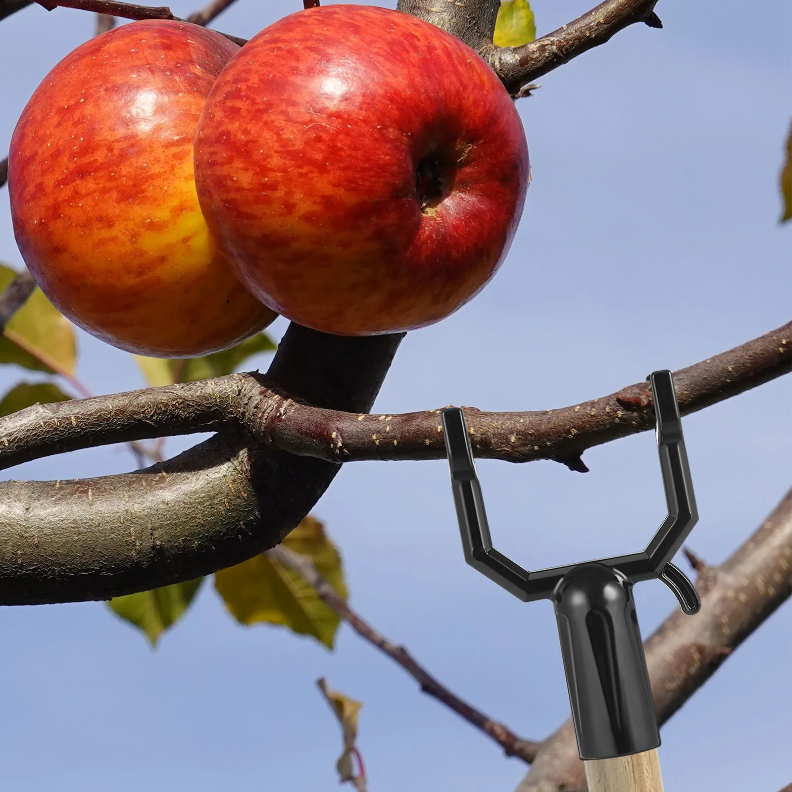 8Pcs Metal Branch Support Fruit Tree Stand Holder For Leaning Trees Orchard Plant
