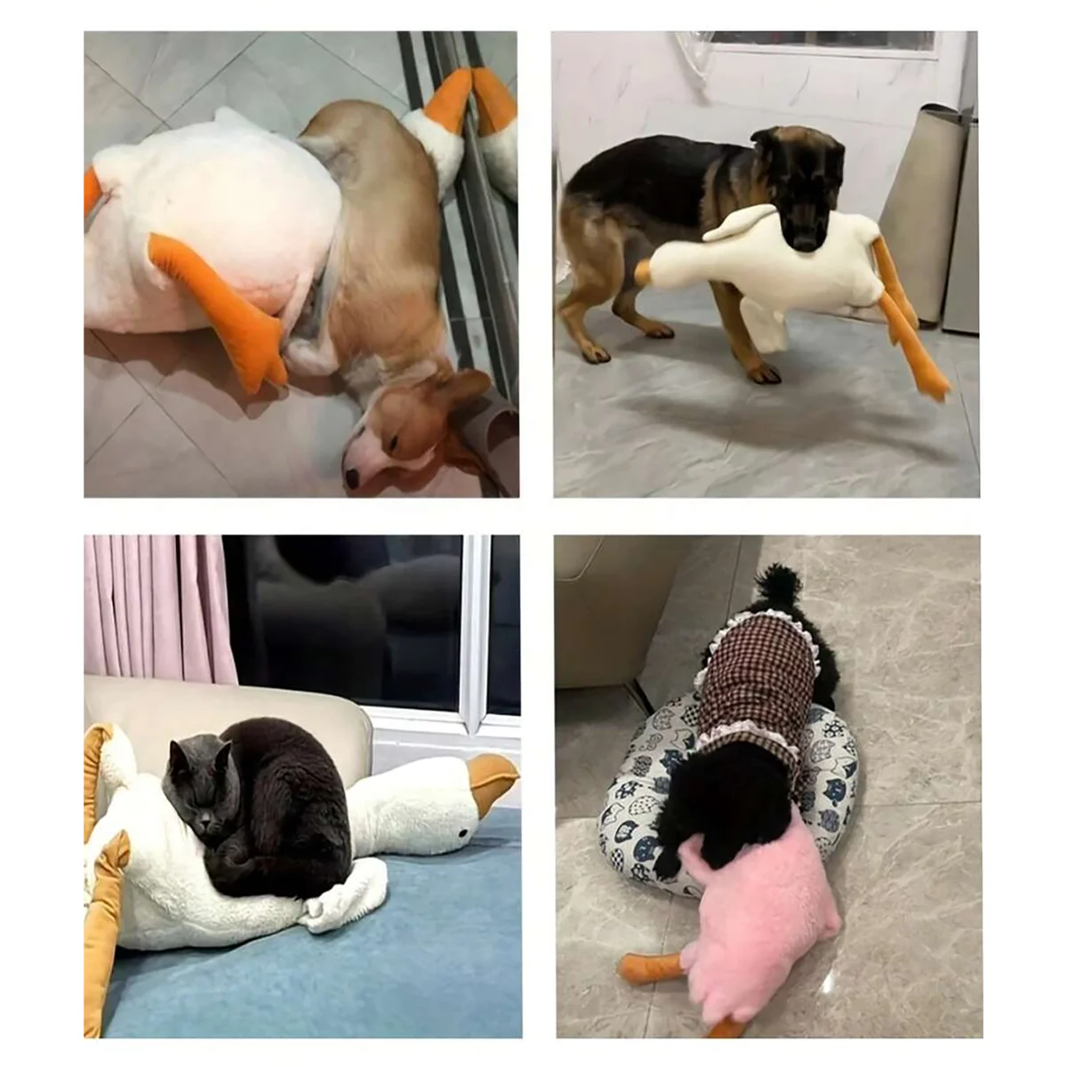 مجموعة من ألعاب البطة الناعمة القطيفة، أبيض/رمادي/بني، مناسبة للعب القطط والكلاب معها، تساعد الكلاب على اللعب ونفق الطاقة، مناسبة للحيوانات الأليفة الصغيرة والمتوسطة الحجم (يضى موصى به للحيوانات الأليفة الكبيرة).