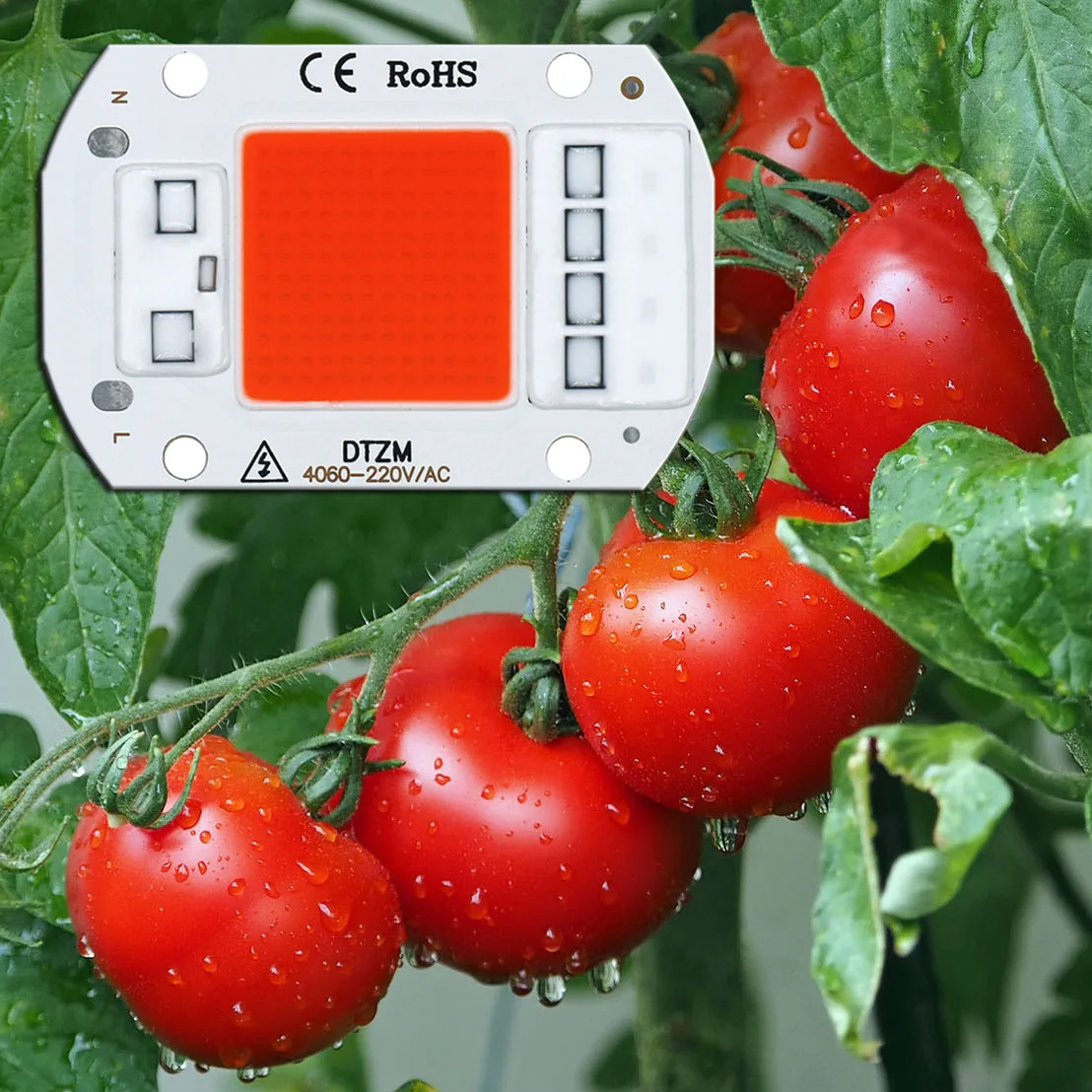 LED Grow Light Full Spectrum COB LED Chip AC220V No need driver Phyto Lamp For Indoor Plant Light Seedling Grow Lamp