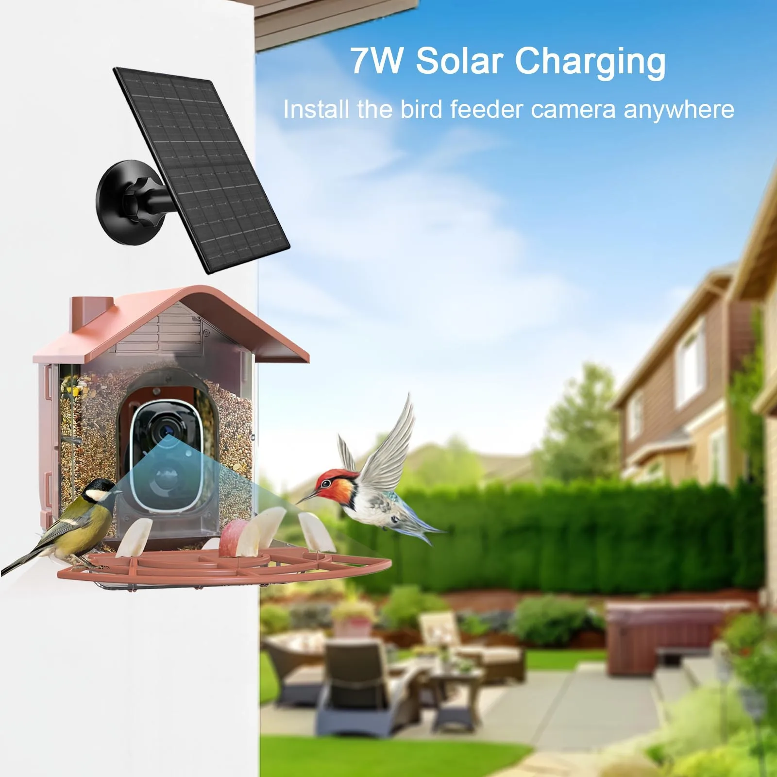 Intelligent bird feeder AI recognition Solar outdoor bird feeder with camera Large capacity waterproof