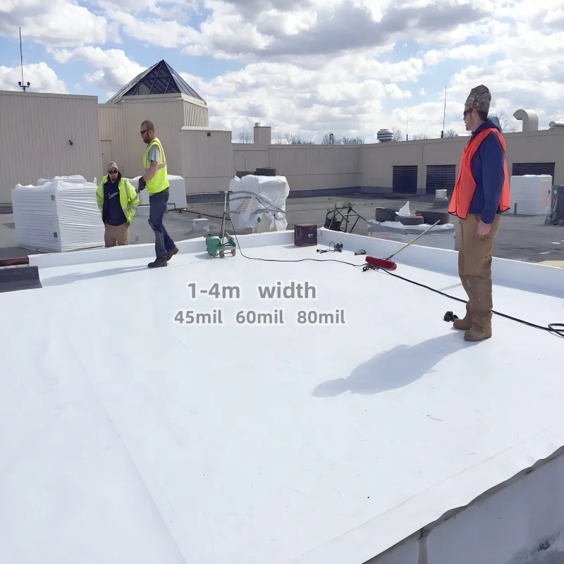 Ice and Water Shield TPO Waterproof Membrane Roof Underlayment Waterproof Building Material Roof Membrane-10x10cm Sample Link