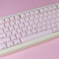 XVX Pink Jelly Side Print Keycap Ice Crystal Translucent OEM Profile Key cap for Cherry MX 61 68 104 Mechanical Keyboard 113 Key