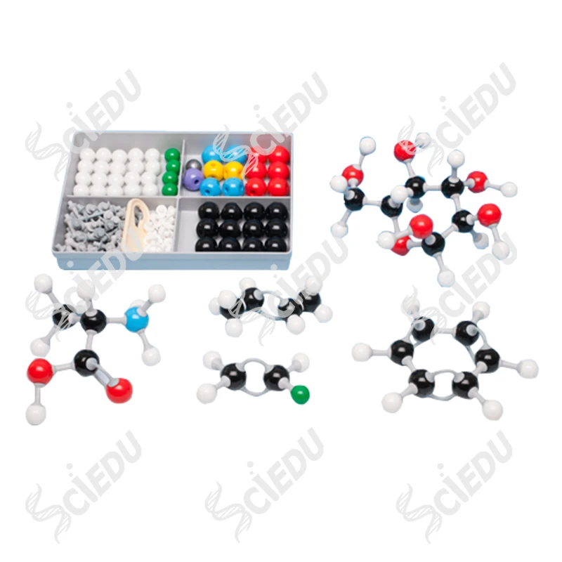 2023 High Quality Professional Molecular Model Kit Organic Chemistry Molecular Model Kit