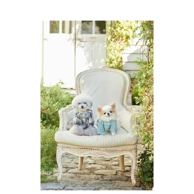 Cute Outfits for Small Dogs Japanese Lifestyle DIY Craft Book Japanese Version Books, Technical Books, Skill-building Book