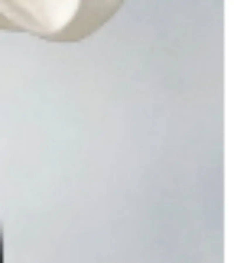 

Элегантная атласная блузка с V-образным вырезом, женская модная блузка с 3D цветочным принтом и шнуровкой, французский шик, длинный рукав, приталенный крой, весенняя офисная блузка для женщин, новинка.