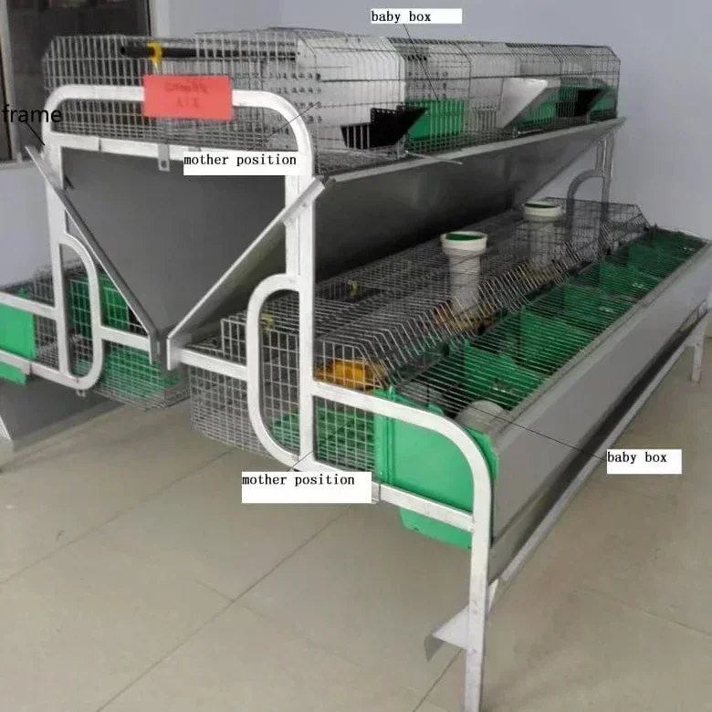 Low Carbon Steel 24 Position Mother Baby Rabbit Cage Retail Manufacturing Plant Rabbit Cage
