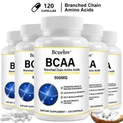 Bcaa-チェーンサプリメント、カミノヒーラーカプセル、強度とエネルギーレベルを強化し、筋肉量を増やす