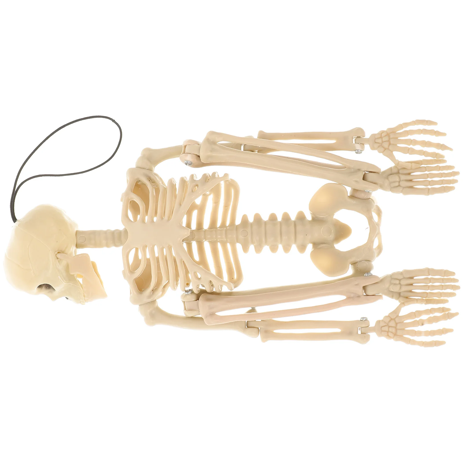 Halloween Model Decor Decorative Prank Prop Decorations Bone Creative Plastic Creepy