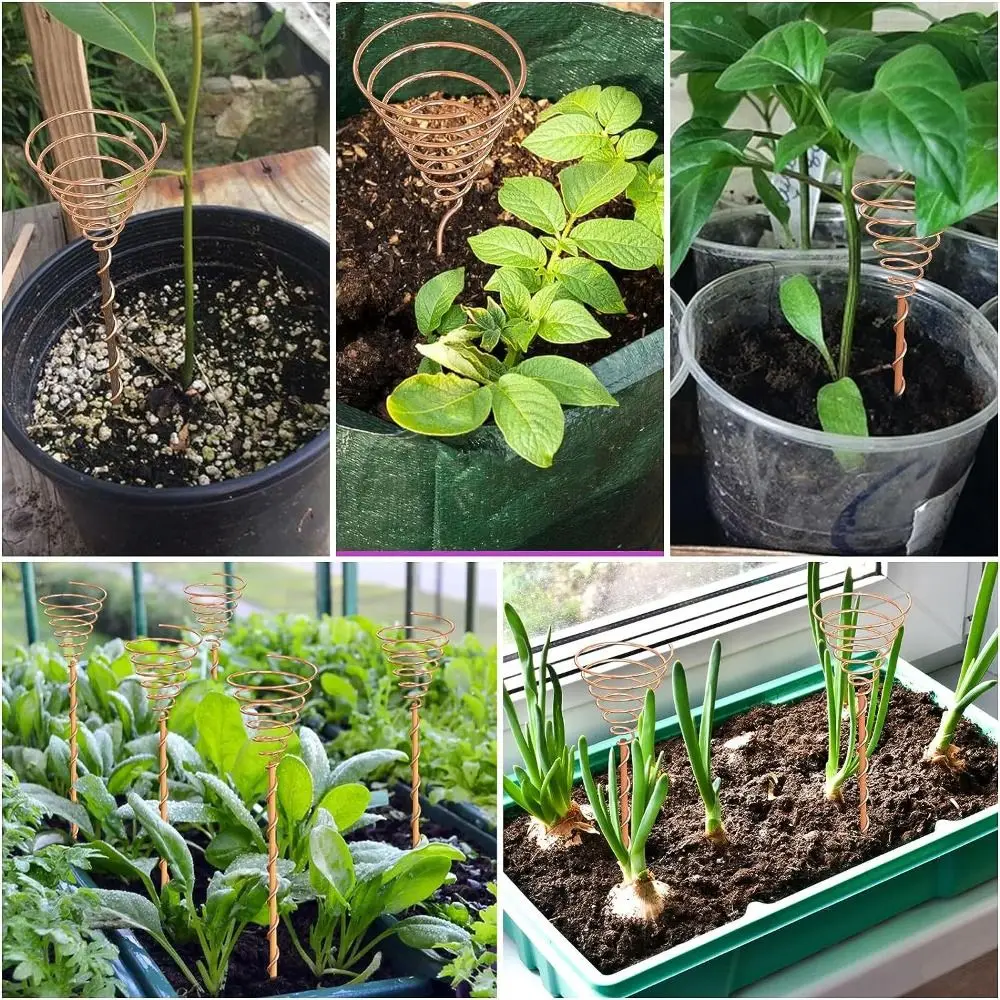 Bonsai Copper Electroculture Plant Stakes Wire Coil Wood Rod Electroculture Vegetables Stake Plant Support Frame Garden