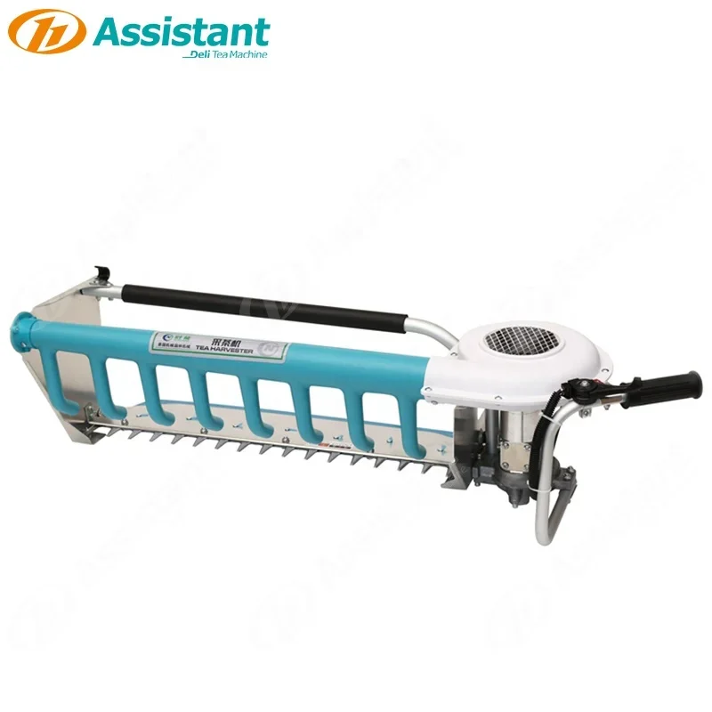 Tea Harvester Machine Mini Collection Srilanka Plucking Of Shear Plucker Supplier DL-4C-S