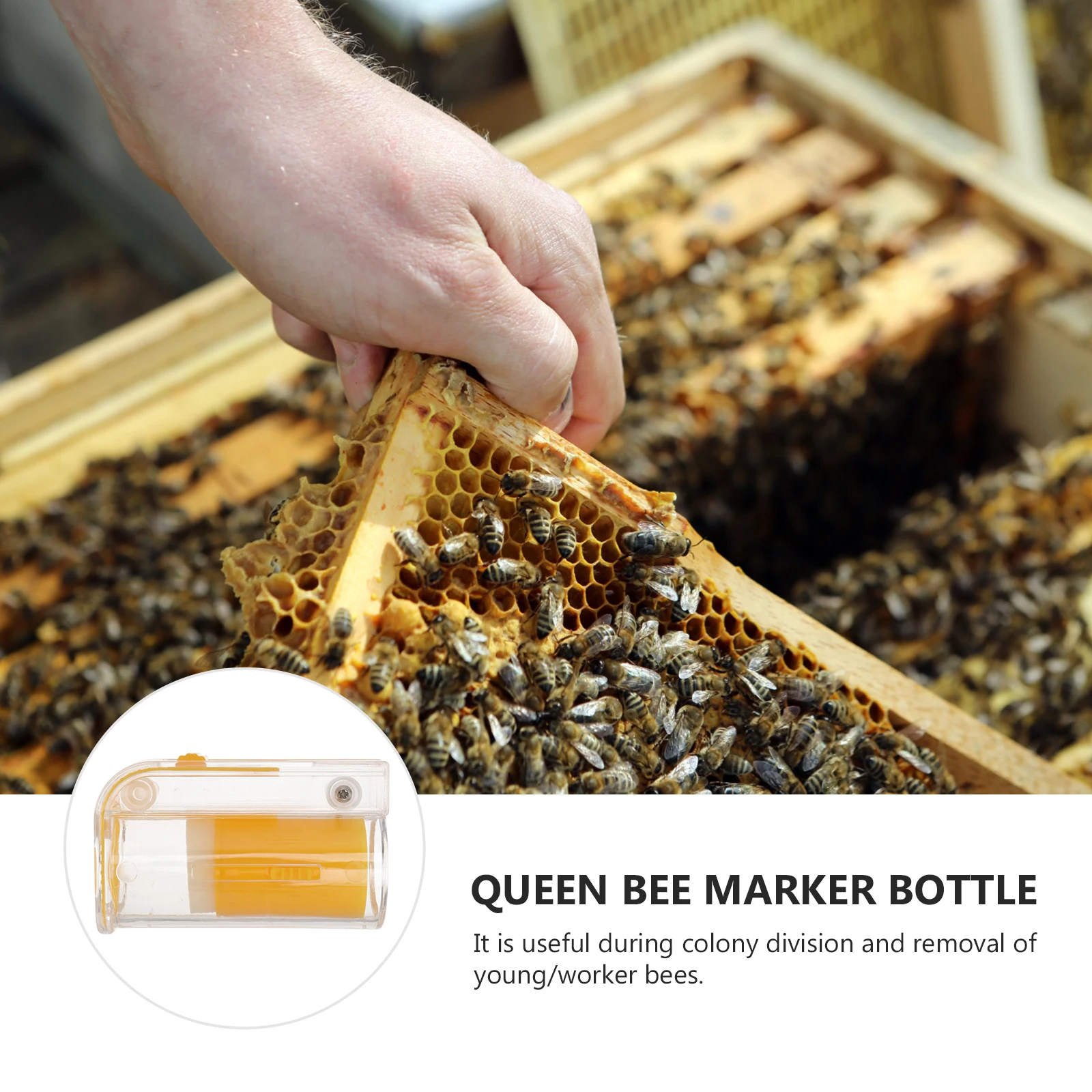 

1Pcs Catcher Bottle Simple Structure Durable Beekeeping Tool for Marking Isolation Colony Division Catching Box