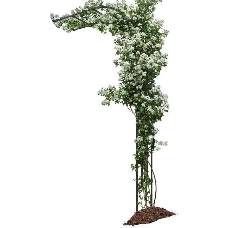 

Half Sided Arch Against The Wall Garden Trellis - Garden Arbor Trellis for Climbing Plants Outdoor - Garden