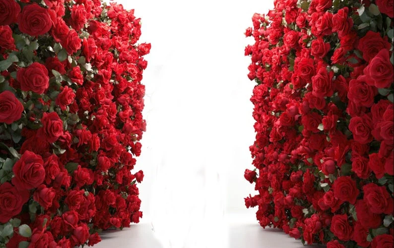 ジョンソンレッドローズフラワーロマンチックな道路の背景高品質コンピュータプリント結婚式の写真スタジオの背景