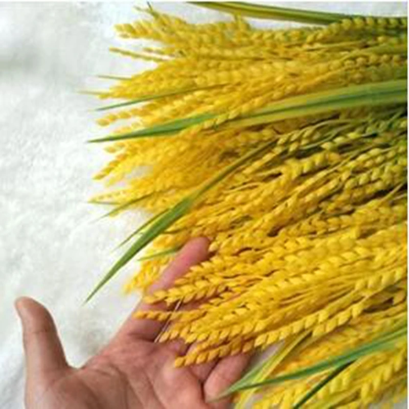 High rice rice wheat rice crop simulation false false dried rice wheat.The new plastic flower flower pot multiselect simulation