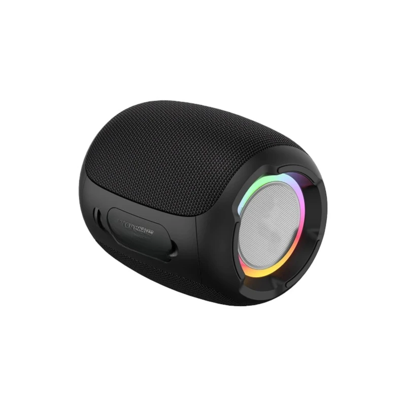 

Portable Wireless Speaker with BT 5.0 Technology Rainproof Speakers AUX USB Flash Drive TF Card Long Playtime Subwoofer