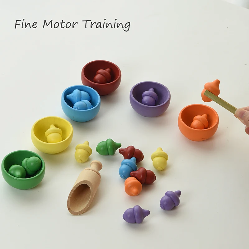 Montessori Rainbow Color Sorting Game Puzzle Toy For Children Fine Motor Training Matching Game Toddler Educational Learning Toy