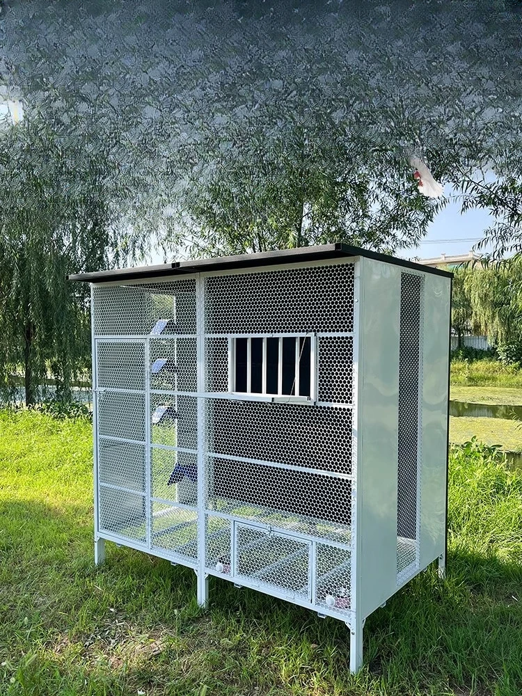 

Oversized pigeon cage, encrypted breeding cage, breeding carrier pigeon, parrot starling, special outdoor outdoor