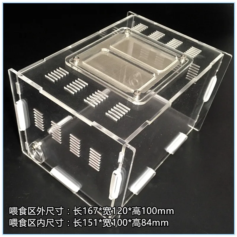 Night Wind Sound Acrylic Feeding Area Small Pet Feeding Box Various Ant Nest Expansion Special Small Feeding Area