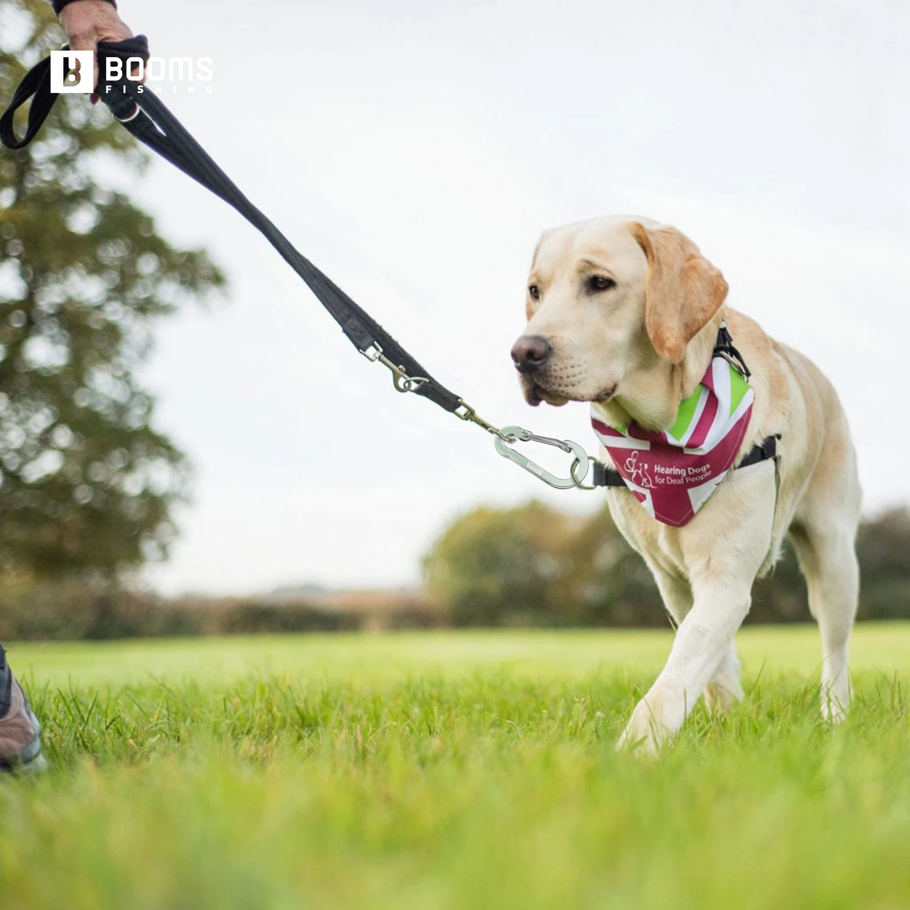 ازدهار الصيد 8 سنتيمتر متعددة الاستخدام سبائك الألومنيوم حلقة تسلق كليب كبيرة Caribeener الفولاذ المقاوم للصدأ الربيع المفاتيح Caribeaner كليب