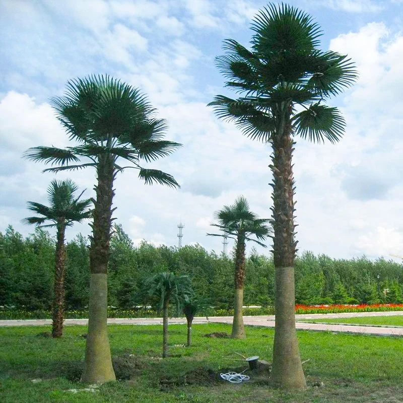 

Simulated outdoor large fan sunflower tree, simulated plant fake palm tree, tropical