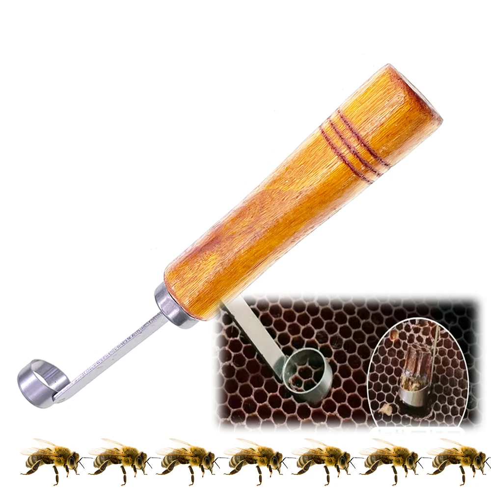 비 접목 유충 여왕 사육 칼날, 간편한 양봉가, 실용적인 꿀벌 장비, 빗에서 알 차단, 무해한 칼날