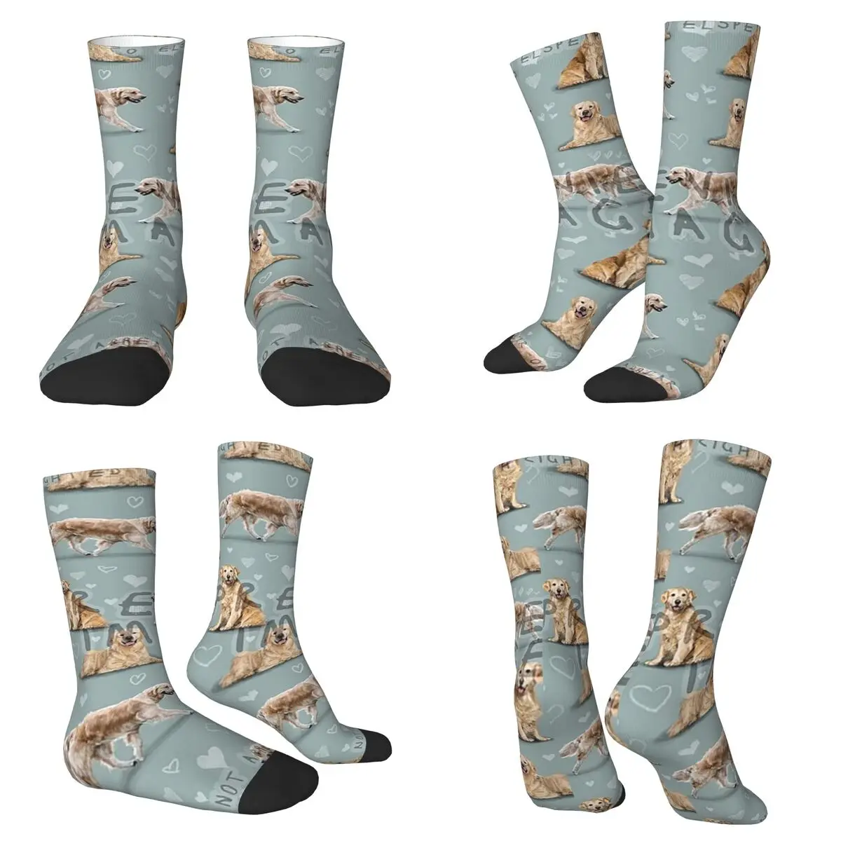 

The Golden Retriever Dog Socks Harajuku High Quality Stockings All Season Long Socks Accessories for Man Woman Birthday Present