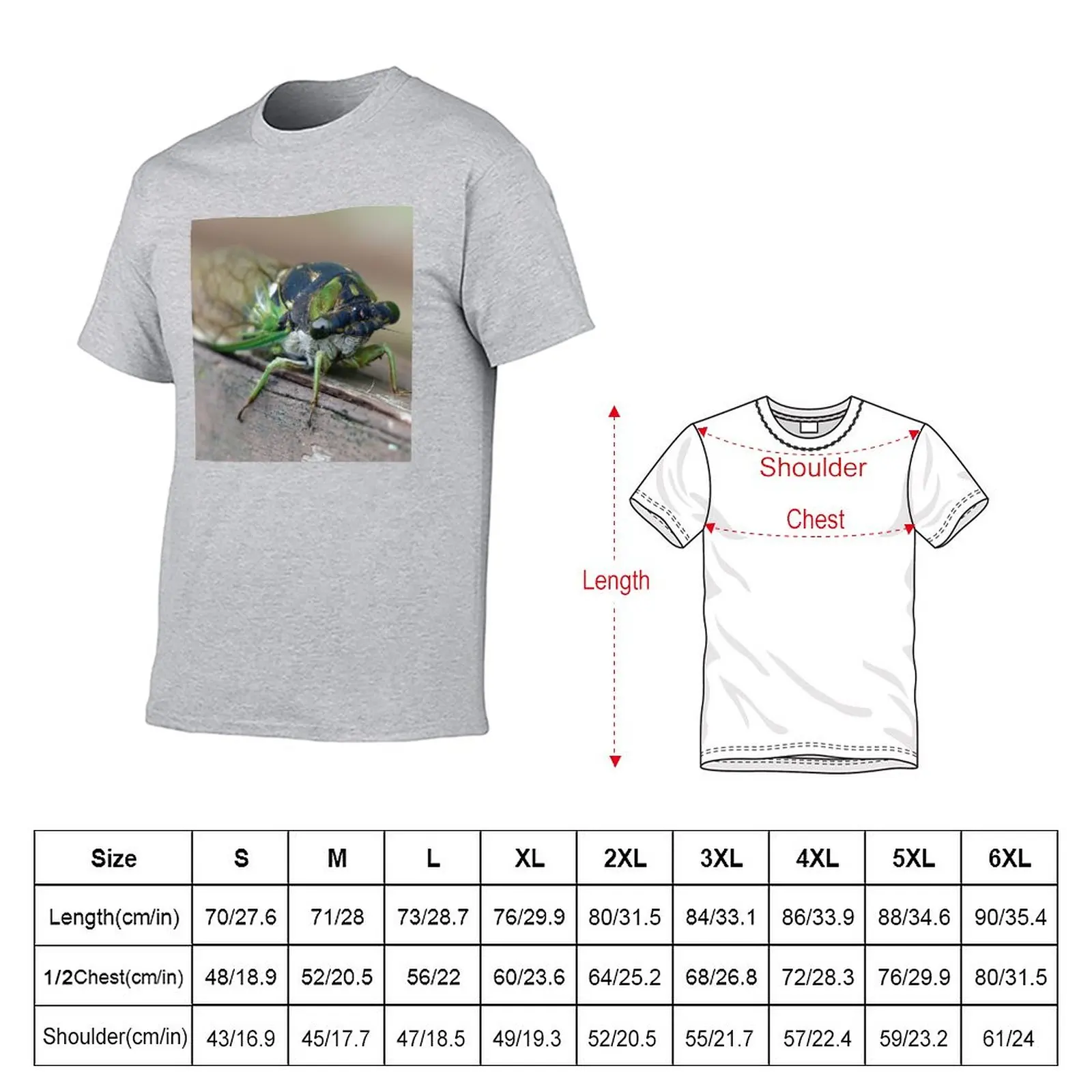 Cicada T-Shirt summer tops Aesthetic clothing customized t shirts t shirts for men pack