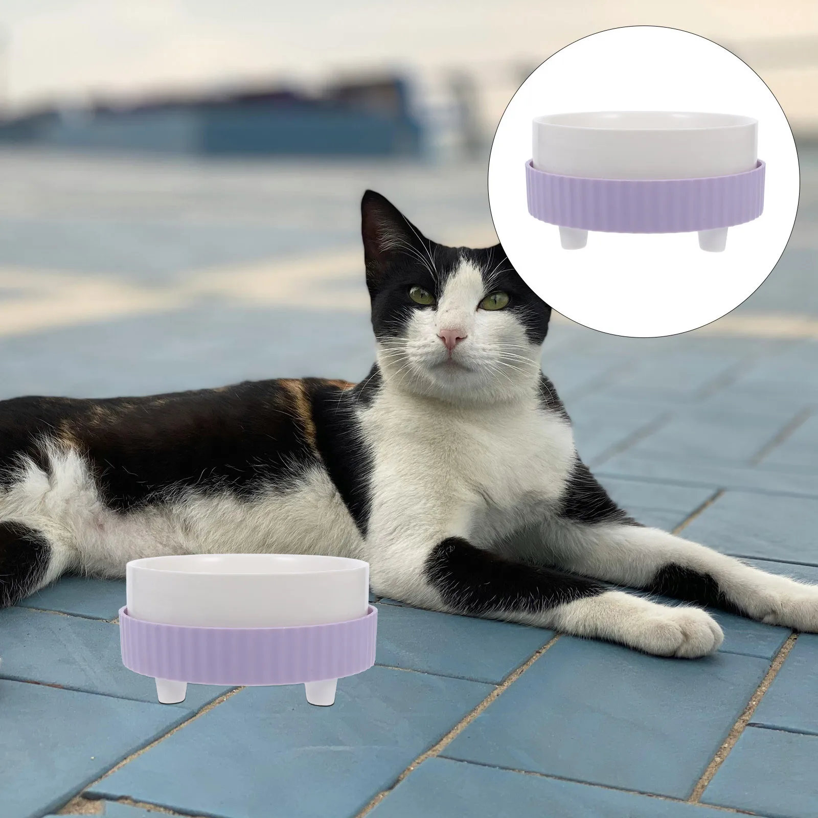 

Thermostatic Ceramic Pet Bowl 350ml Heated Water Bowl Indoor Outdoor Winter Pet Heated Water Dispenser Ceramic Cat Bowls