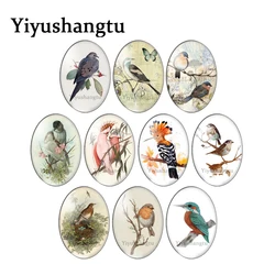 Lovely bird In the tree flying freedom 10pcs mixed 13x18mm/18x25mm/30x40mm Oval photo glass cabochon flat back Making findings
