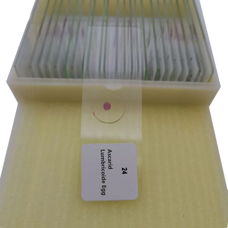 

25pcs/Set Medical Parasitology Parasite Prepared Microscope Slides