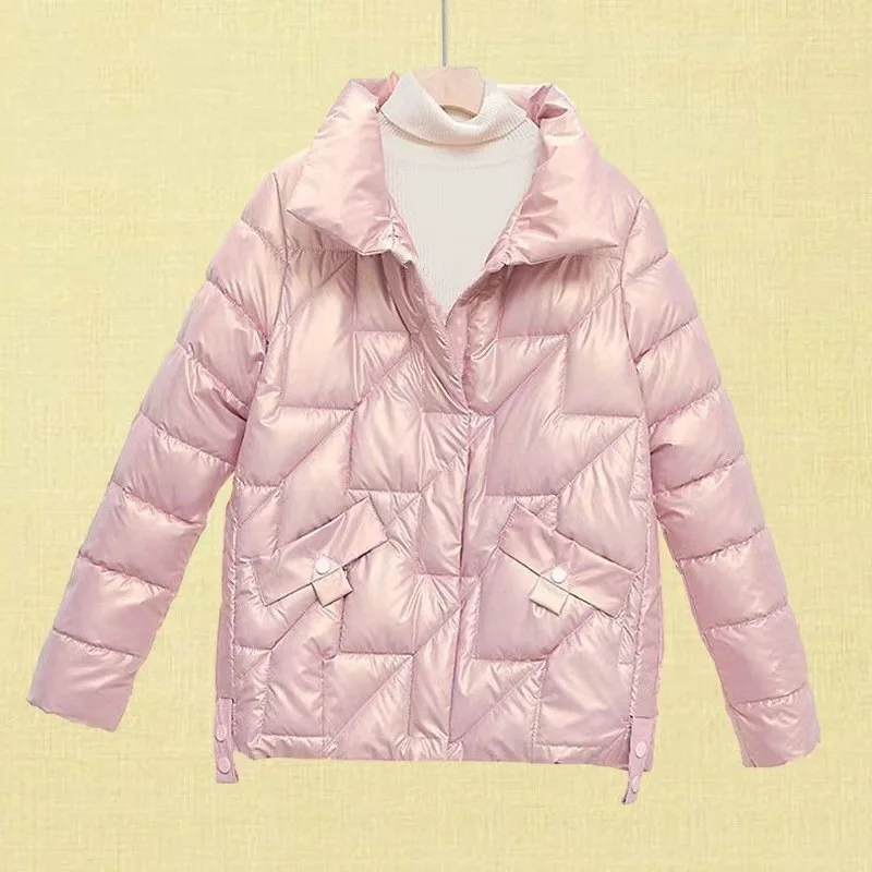 2023 Winter New Chinese Style Women's Fashion Temperament Commute Simple Light Glossy All-Matching Short down Jacket