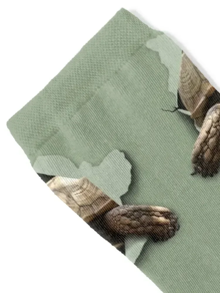 جوارب Sulcata Burst قصيرة مجنونة للهالوين جوارب نسائية أساسية للرجال