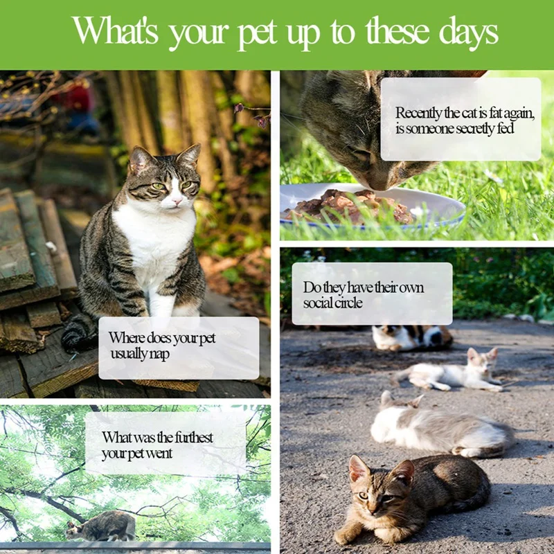 Mini GPS Data Logger Waterproof GPS Tracker Logger For Cat Dog Pet Sport Hiking Traveler Mapping Survey Navigation