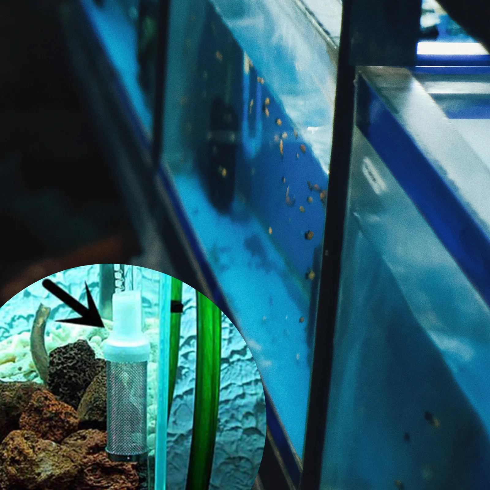 

Aquarium Filter Cover Stainless Steel Shrimp Tank Intake Guard Easy Clean Protective Strainer Mesh Fish Tank Cover