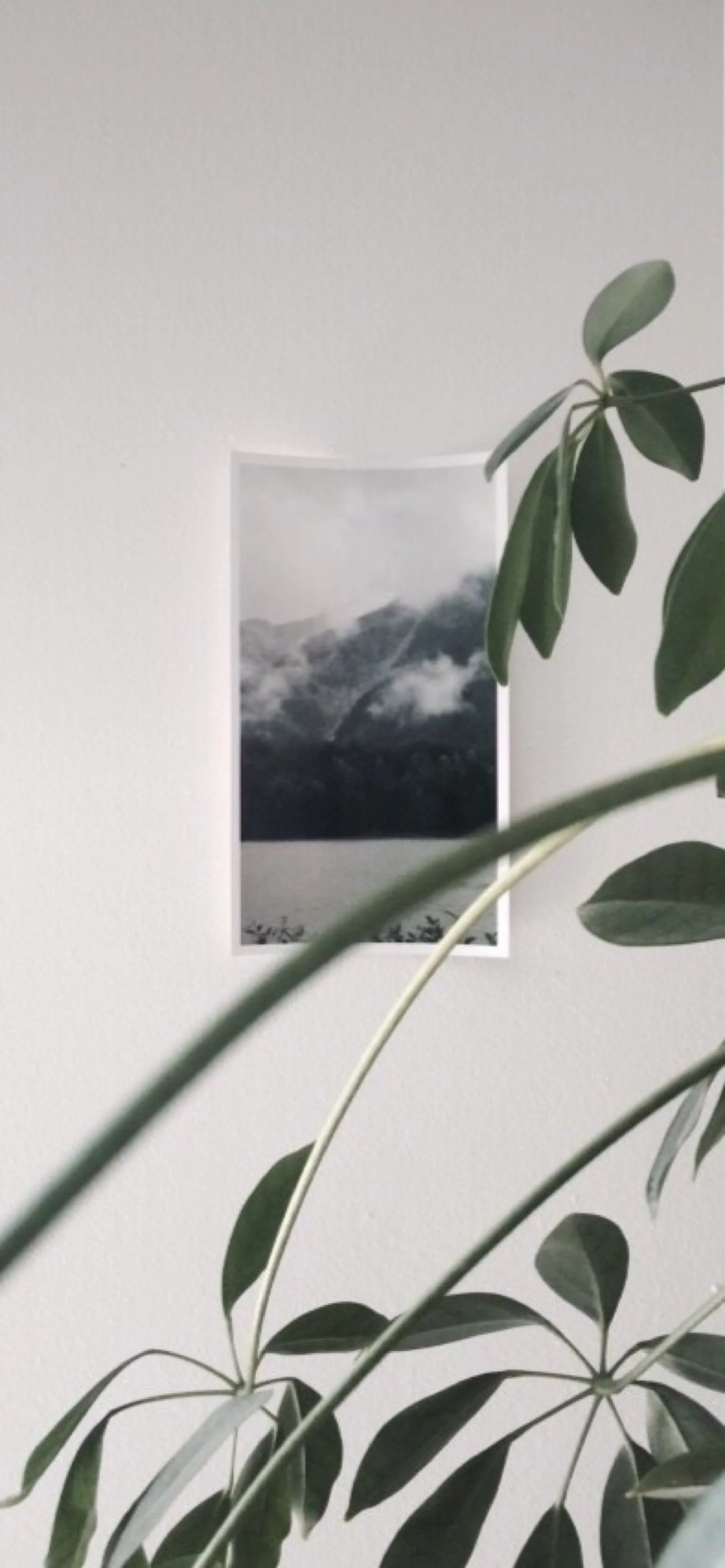 

4 шт. 67 мм пластиковые колесные диски с резиновыми шинами, универсальные для всех радиоуправляемых моделей 1/10 для ралли и шоссейных гонок TAMIYA TT02 XV01 HSP 94123 HPI KYOSHO WLtoys