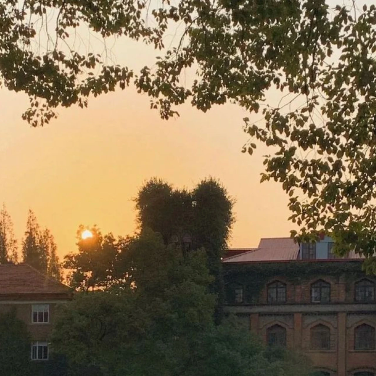 

Передние верхние рычаги из сплава GPM для ARRMA 1/5 Kraton 8S, Kraton EXB, Outcast 8S, Outcast EXB ARA330561