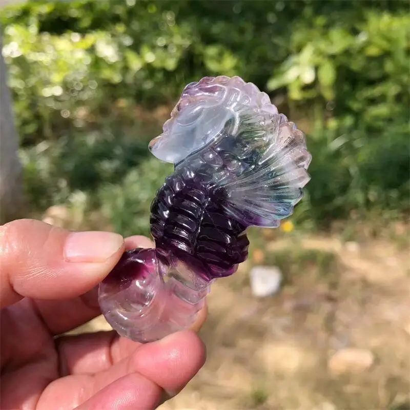 7CM Natural Colored Fluorite Seahorse Carving Animal Statue Quartz Healing Energy Gemstone Crafts For Christmas Gift 1pcs