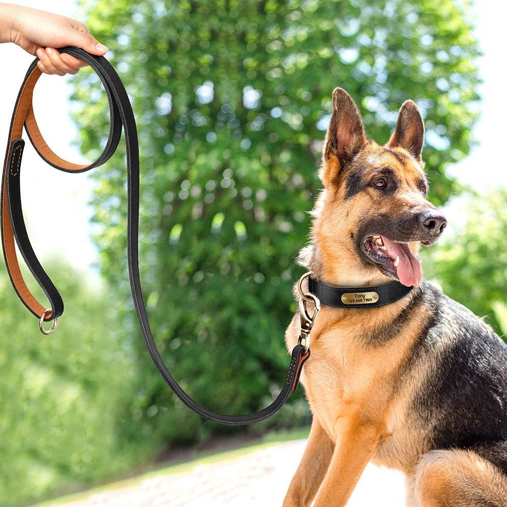 Personalisierte Hundehalsband-Leine aus echtem Leder, langlebige Hundehalsbänder, Gehbleine, Seil, frei mit Gravur für kleine, mittelgroße und große Hunde – Detail 37