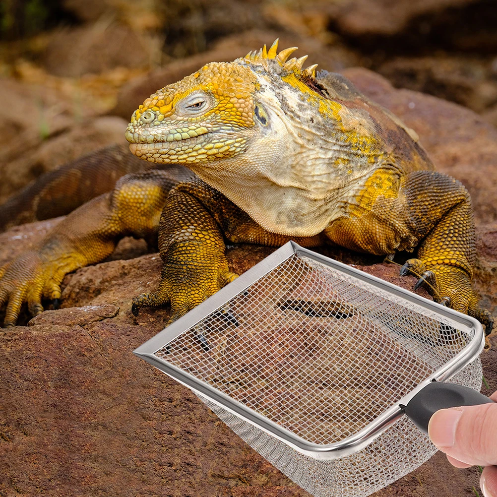 

2pcs Stainless Steel Sand Sifter Reptile Litter Shovel Wide Mouth Design Easy Cleaning Pet Waste Reusable Litter Scoop For