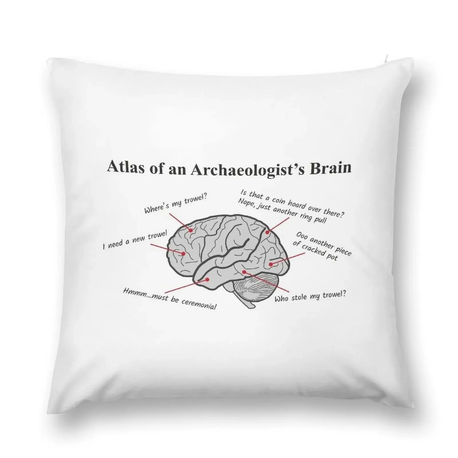 

Atlas of an Archaeologists Brain Throw Pillow Plaid Sofa Decorative Cushions pillow