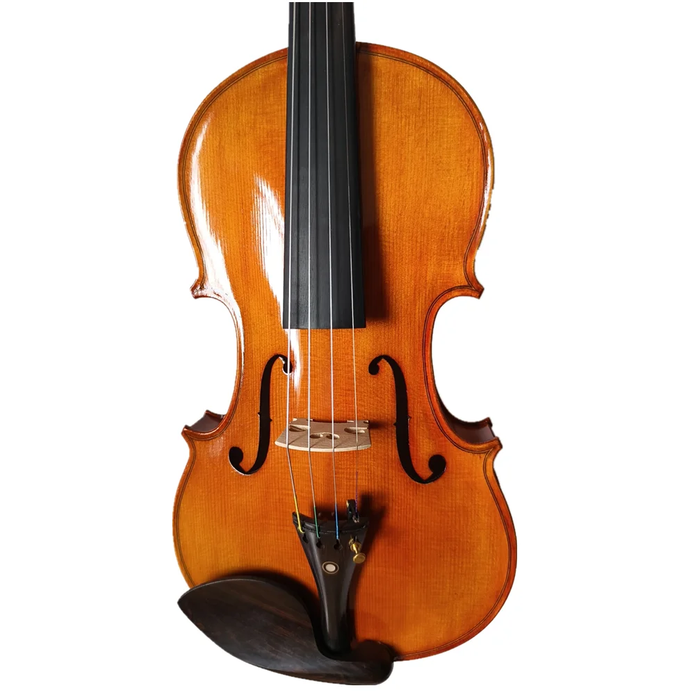 Category image: Viola