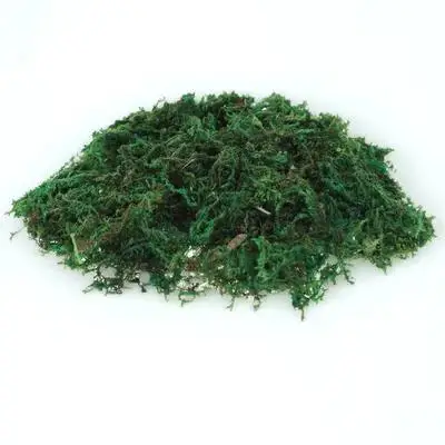 1Pack Realistic Artificial Dried Moss Decor for Terrariums Bonsai Potted Plants Floral Crafts Indoor Garden Fairy Landscaping