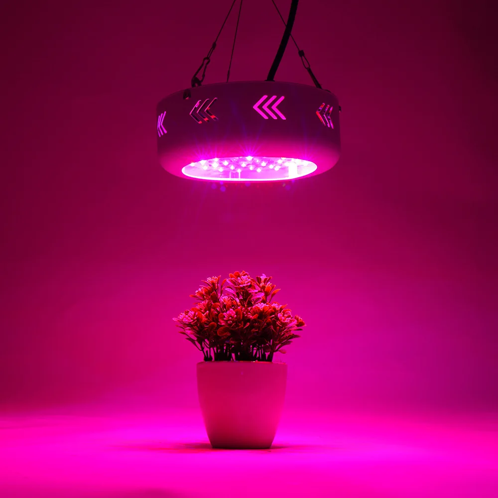 150W LED Plant Growing Lamp 50PCS RED and Blue Flowering Hydroponic Hydro Light Grow Lamp