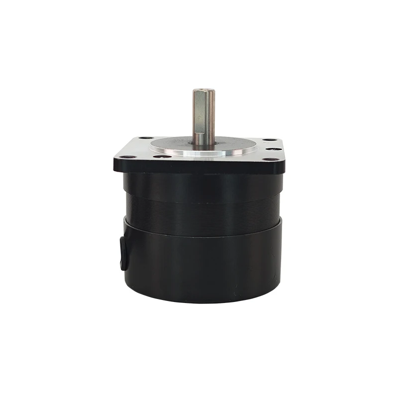 57series Length45 Brushless Dc Motor 24V 48V 3000RPM 17W 0.055Nm Special for Photovoltaic Cleaning Robot  Permanent Magnet