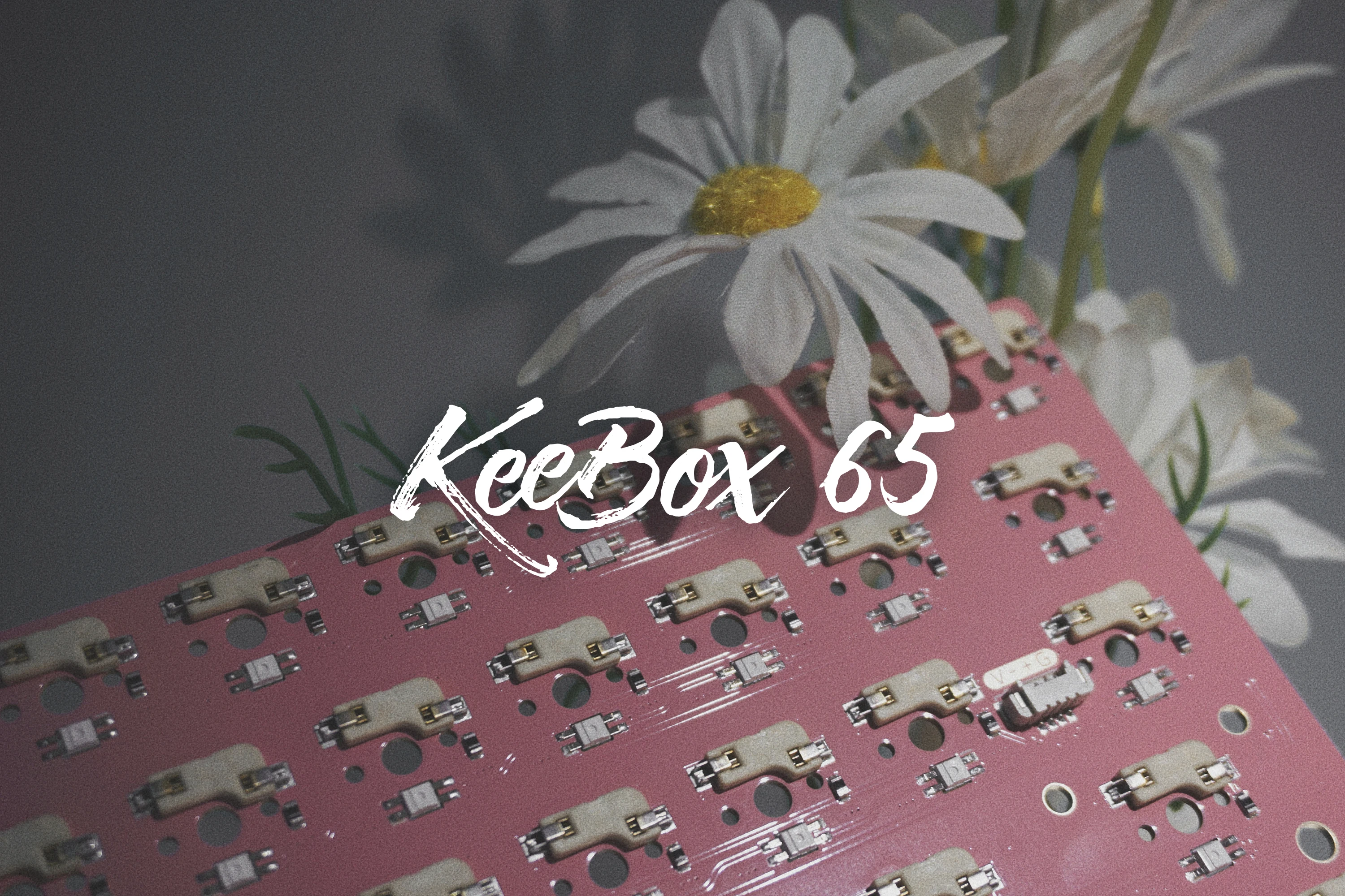 Keebox 65% Hot Swap PCB R2 Customized Keyboard 65 Layout RGB PCB Support VIA Pink PCB