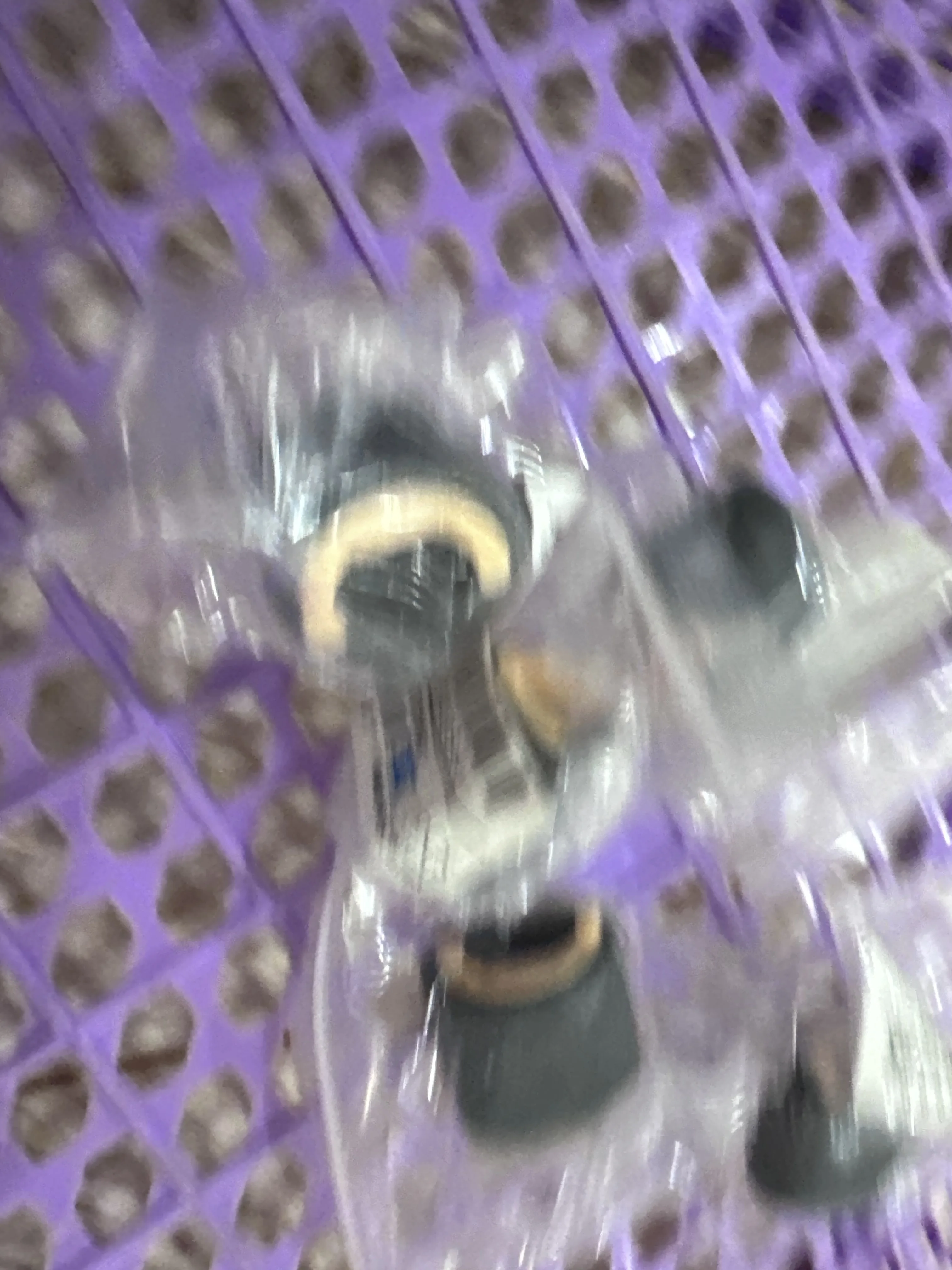 

10X JC73-00321A Ролик захвата для SAMSUNG ML 1660 1661 1665 1666 1670 1675 1676 1860 1865 1865 Вт SCX 3200 3201 3205 3205W 3206