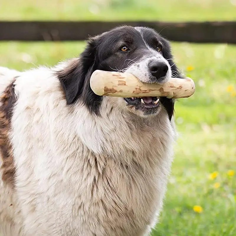 Dog Wood Chews Coffee Wood Stick Indoor Portable Pet Teething Sticks Pet Chew Toys Interactive Teeth Cleaning Hard Soothing