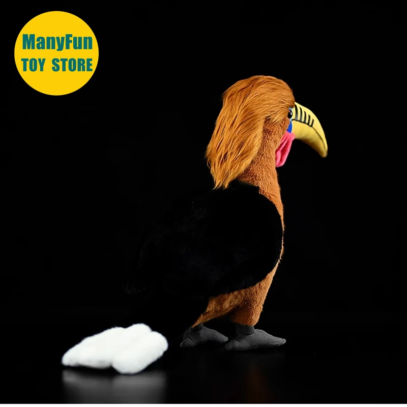 واقعية Rufous الرقبة Hornbill عالية الدقة الطوقان ألعاب من القطيفة نابض بالحياة Hornbill بلوشي محاكاة الحيوانات المحشوة دمية لعبة