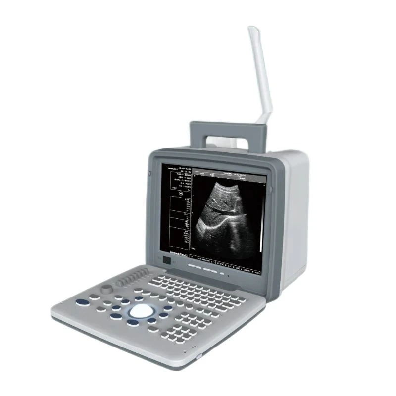 

Veterinary Animal Pregnancy Portable Diagnostic Ultrasound Scanner Ultrasound Machine With Probes For Clinic