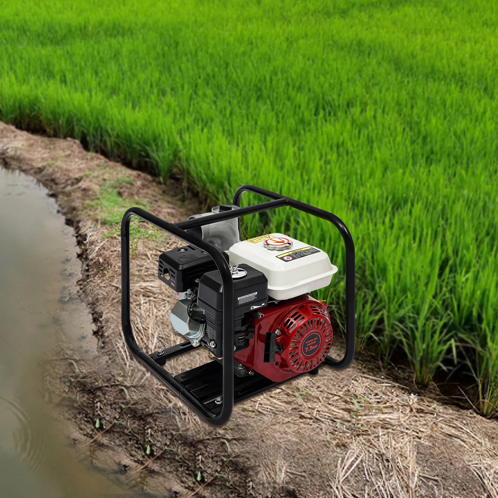 

4-Stroke Gasoline Engine Water Transfer Pump 7.5HP 210cc High Performance Water Pump for Garden Farmland Irrigation